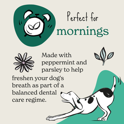 Fresh Dog Breath Treats - Peppermint & Parsley Soft Bites