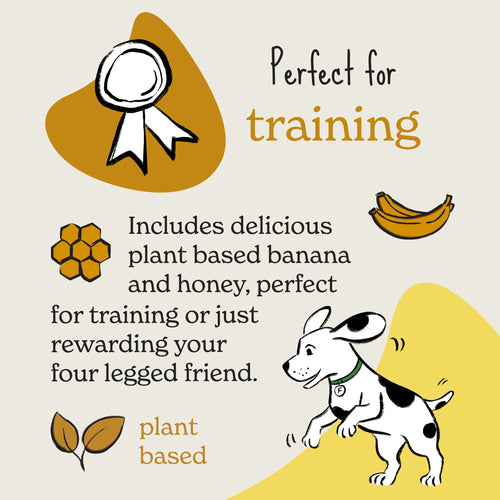 Honey & Banana Dog Treats for Training & Rewards | Forthglade