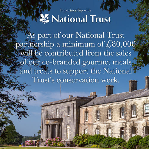 National Trust Soft Bite Treats with Salmon and Herring (1 x 90g)