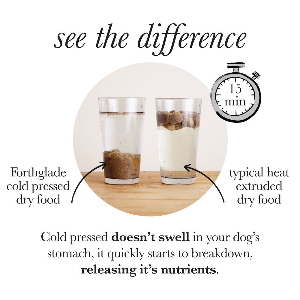 Cold Pressed Natural Dry Dog Food