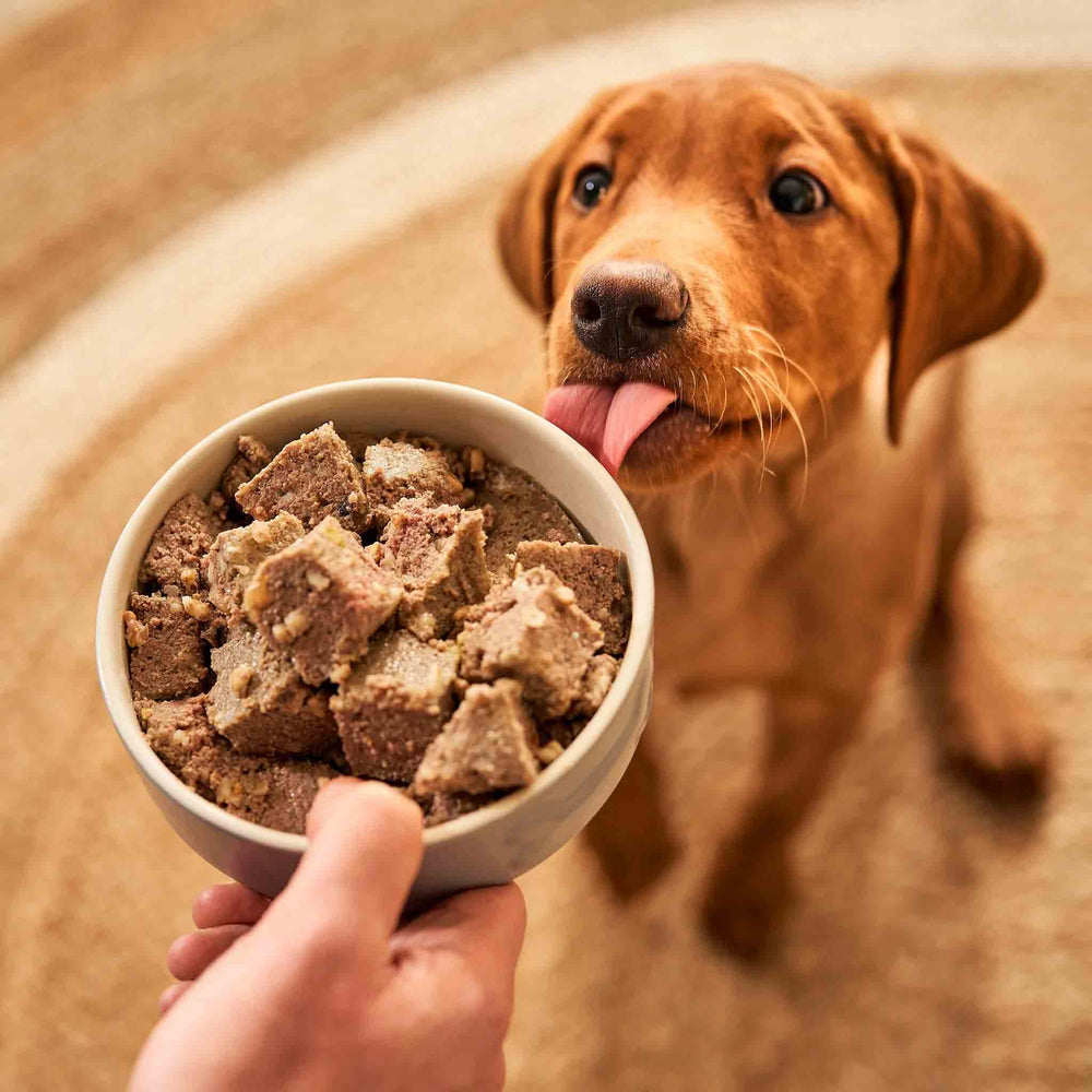 2048 OATS PUP 11d335b6 3912 4191 a6c4 21b8dd508bba