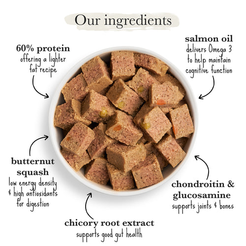 Turkey & Butternut Squash Wet Senior Dog Food | Forthglade