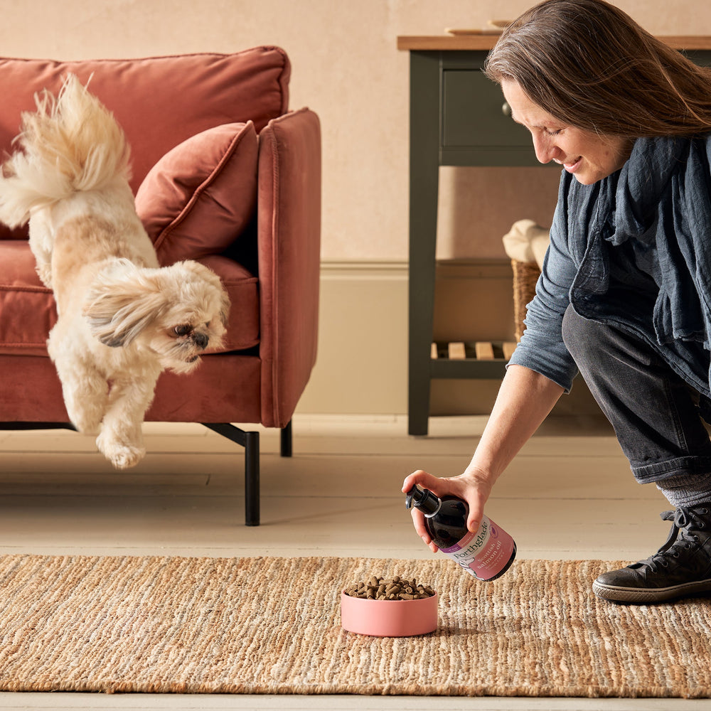 Scottish Salmon Oil for Dogs (1 x 500ml) - Reward