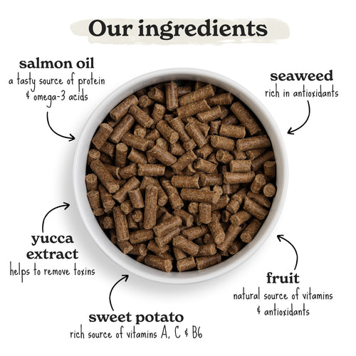 Cold Pressed Salmon Dry Dog Food