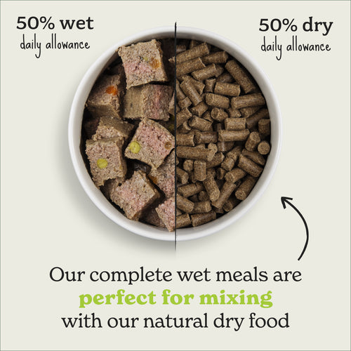 Cold Pressed Salmon Dry Dog Food