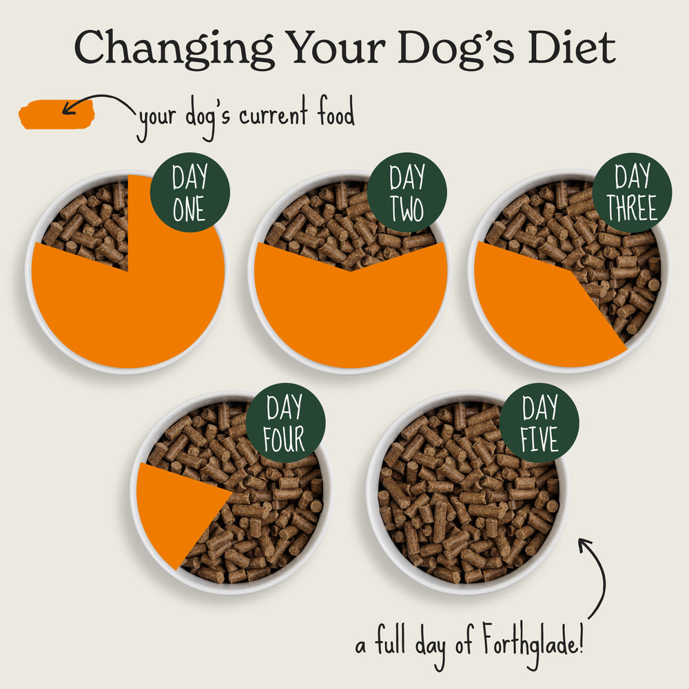 Cold Pressed Natural Dry Dog Food