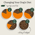 Cold Pressed Poultry Dry Dog Food Bundle