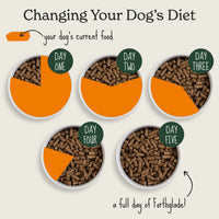 Cold Pressed Natural Dry Dog Food