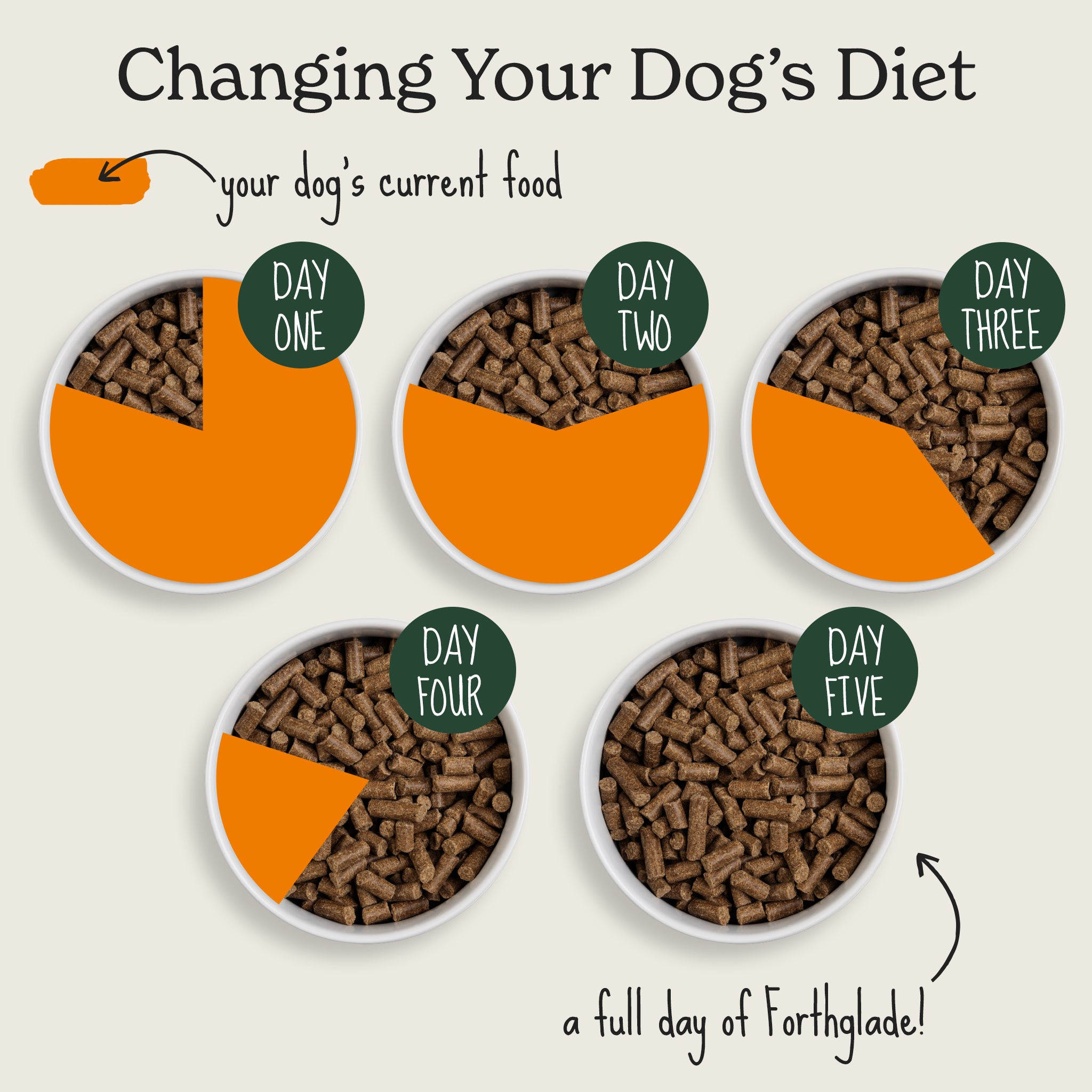 Cold Pressed Natural Dry Dog Food