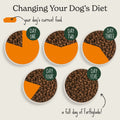 Lightly Baked Natural Dry Dog Food