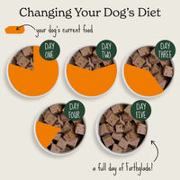 Chicken & Duck Wet Dog Food Variety Pack