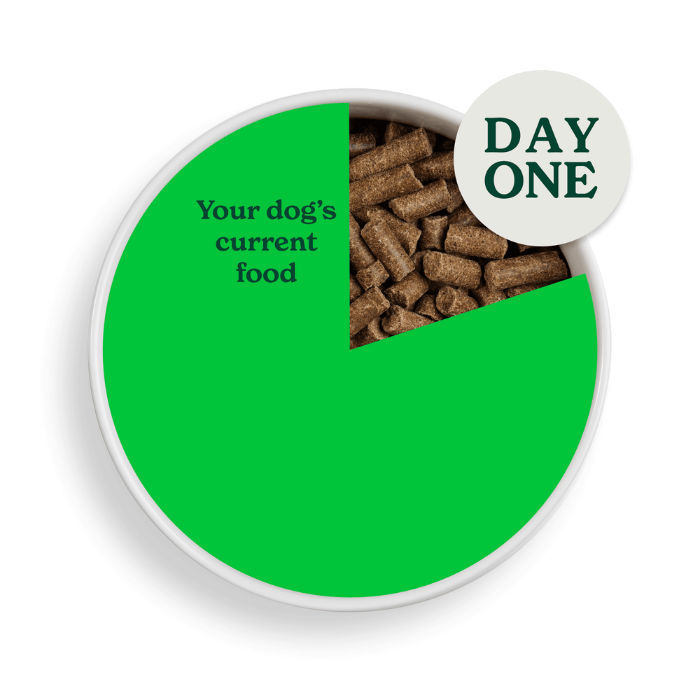 2083 swithcing food assets individual CP Day 1