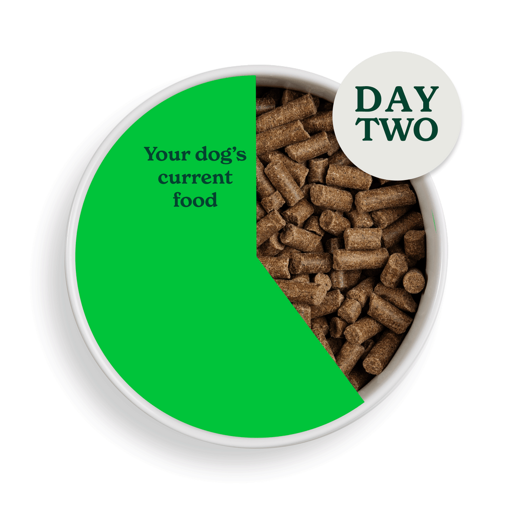 2083 swithcing food assets individual CP Day 2