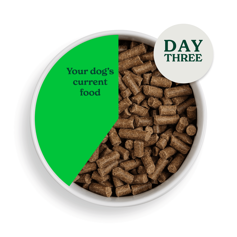 2083 swithcing food assets individual CP Day 3