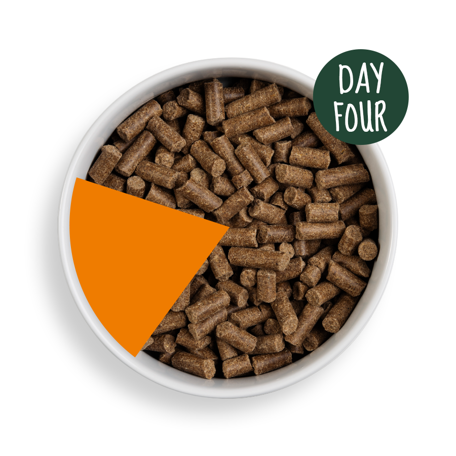 Cold Pressed Dog Food Dog Food For Gut Health Forthglade