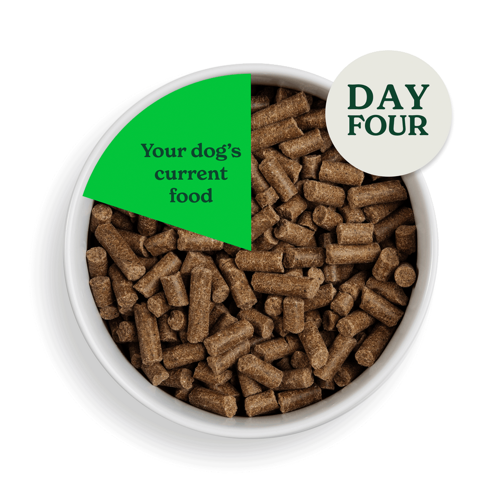 2083 swithcing food assets individual CP Day 4