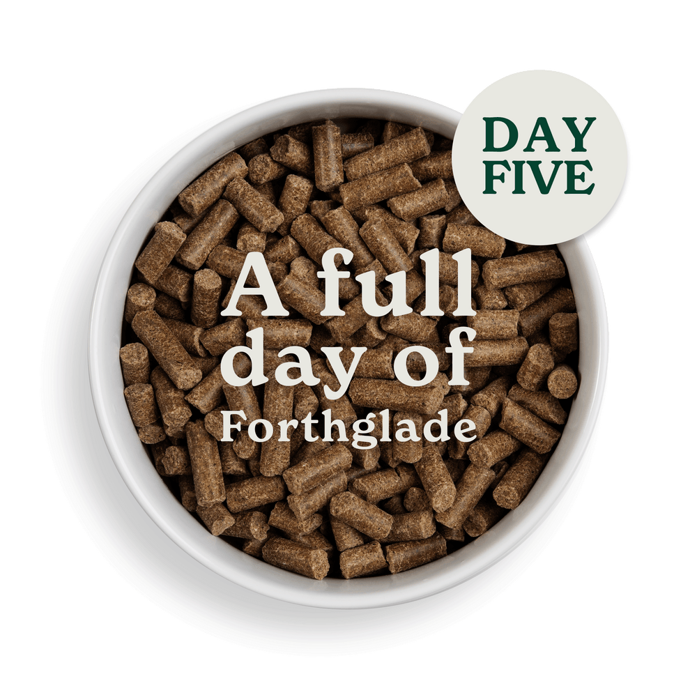 2083 swithcing food assets individual CP Day 5