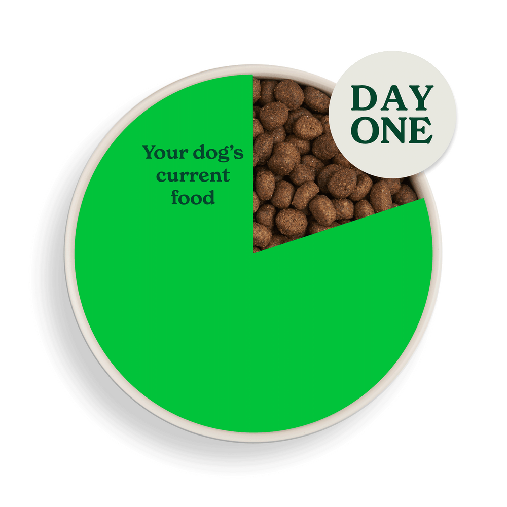 2083 swithcing food assets individual LB day 1