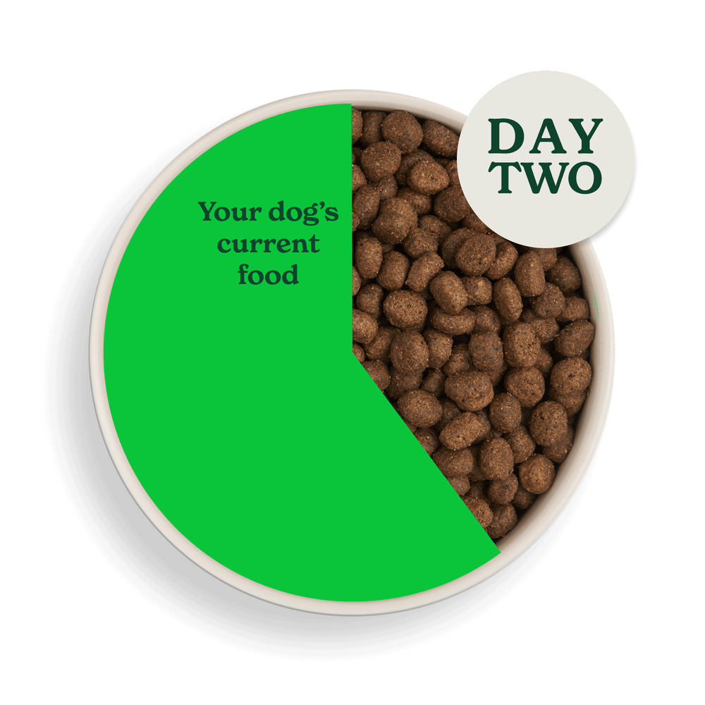2083 swithcing food assets individual LB day 2