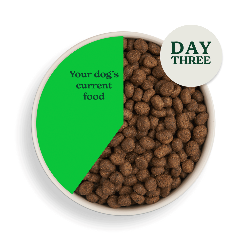 2083 swithcing food assets individual LB day 3