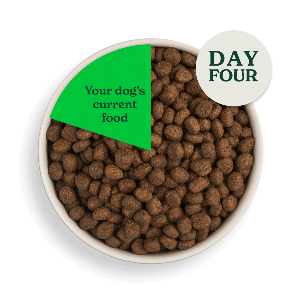 2083 swithcing food assets individual LB day 4