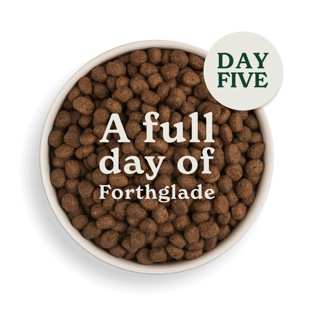 2083 swithcing food assets individual LB day 5
