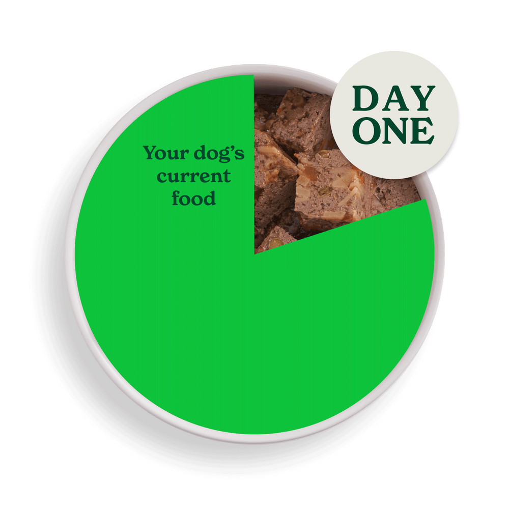 2083 swithcing food assets individual wet day 1