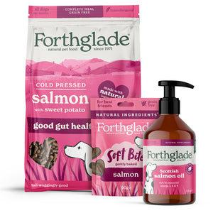 Salmon Dry Dog Food, Treats & Supplements Bundle