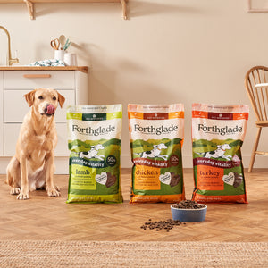 Lightly Baked Dry Dog Food Variety Bundle