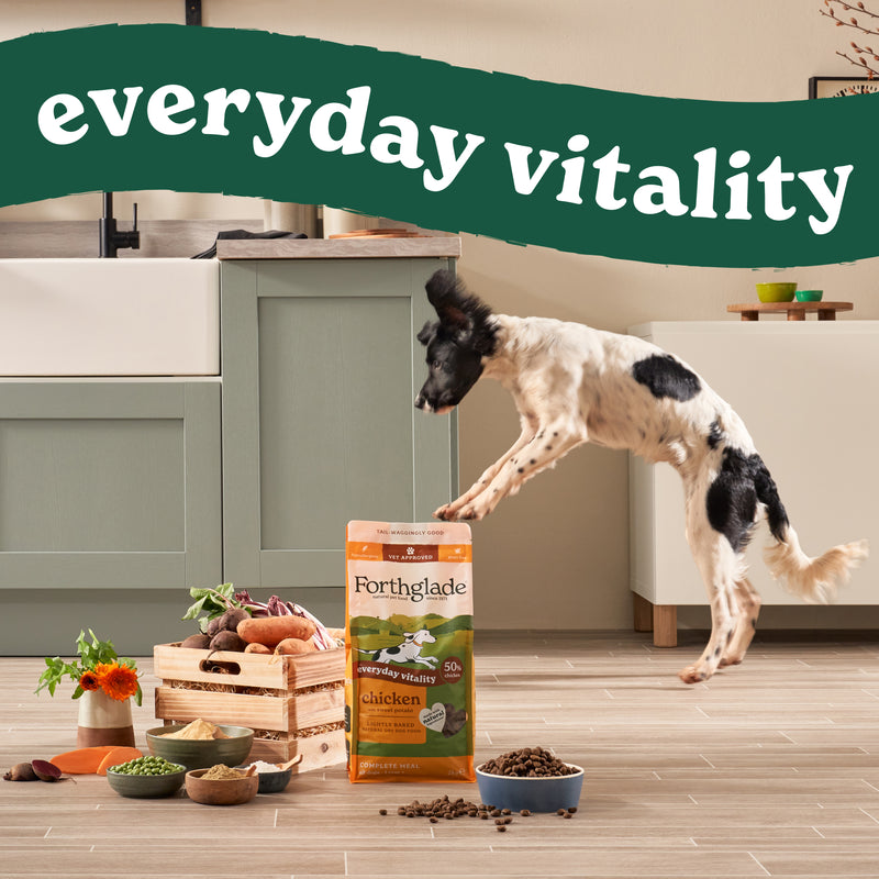 2376 Lightly Baked 4000px Graphic Assets vitality v5 2048px
