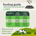 Cold Pressed Lamb Dry Dog Food