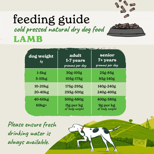 Cold Pressed Lamb Dry Dog Food