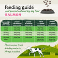 Cold Pressed Salmon Dry Dog Food