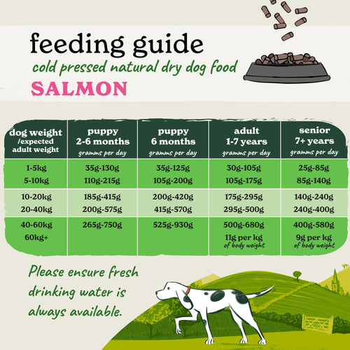 Cold Pressed Salmon Dry Dog Food