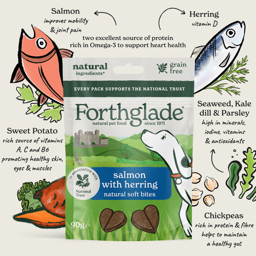 National Trust Salmon & Herring Dog Treats