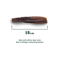 Natural Cuts Air Dried Beef Tripe - Meaty Dog Treats