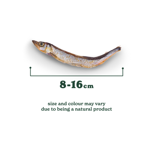 Natural Cuts Air Dried Capelin Treats - Fishy Dog Treats
