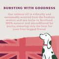 Scottish Salmon Oil for Dogs