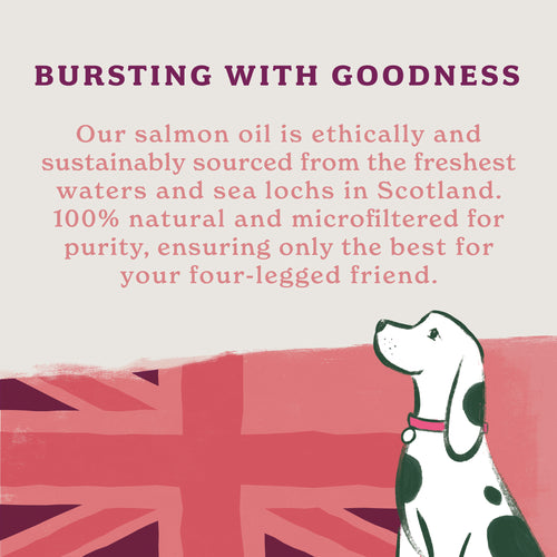 British Classics Wet Dog Food Taster Pack