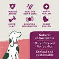 British Classics Wet Dog Food Taster Pack