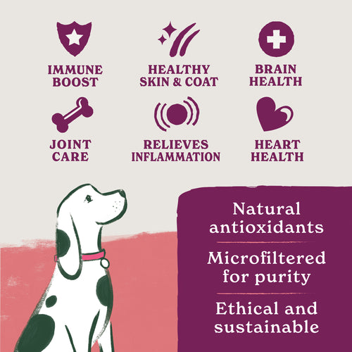 British Classics Wet Dog Food Taster Pack