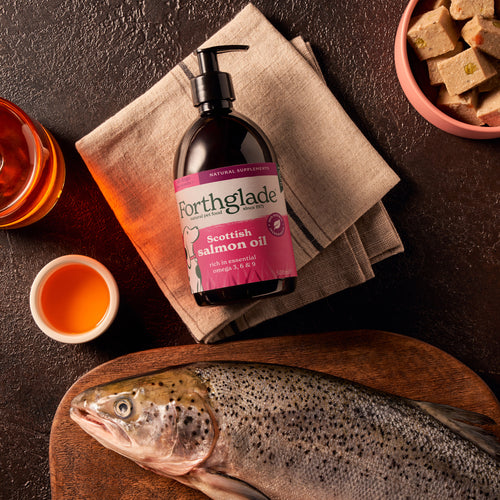 Scottish Salmon Oil for Dogs