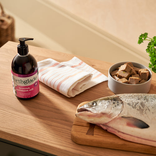 Scottish Salmon Oil for Dogs