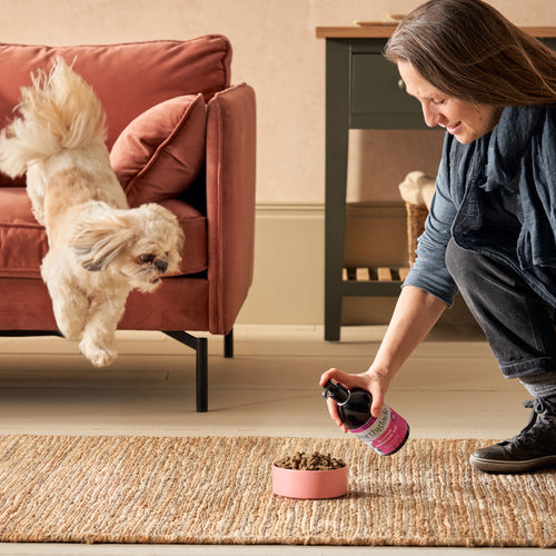 Scottish Salmon Oil for Dogs