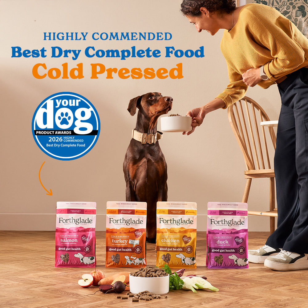 2625 YourDog26 Facebook Dry
