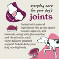 Joint Care Meaty Pieces - Dog Joint Supplement