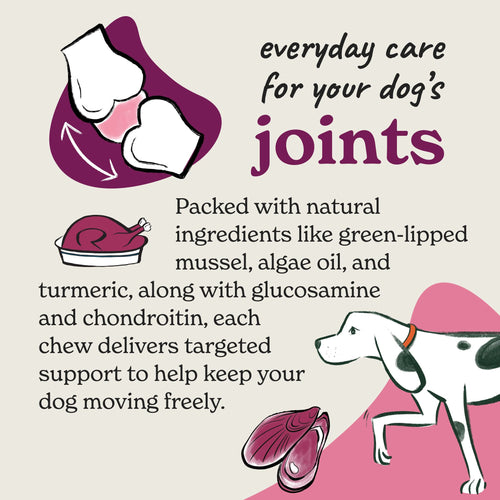 Joint Care Meaty Pieces - Dog Joint Supplement