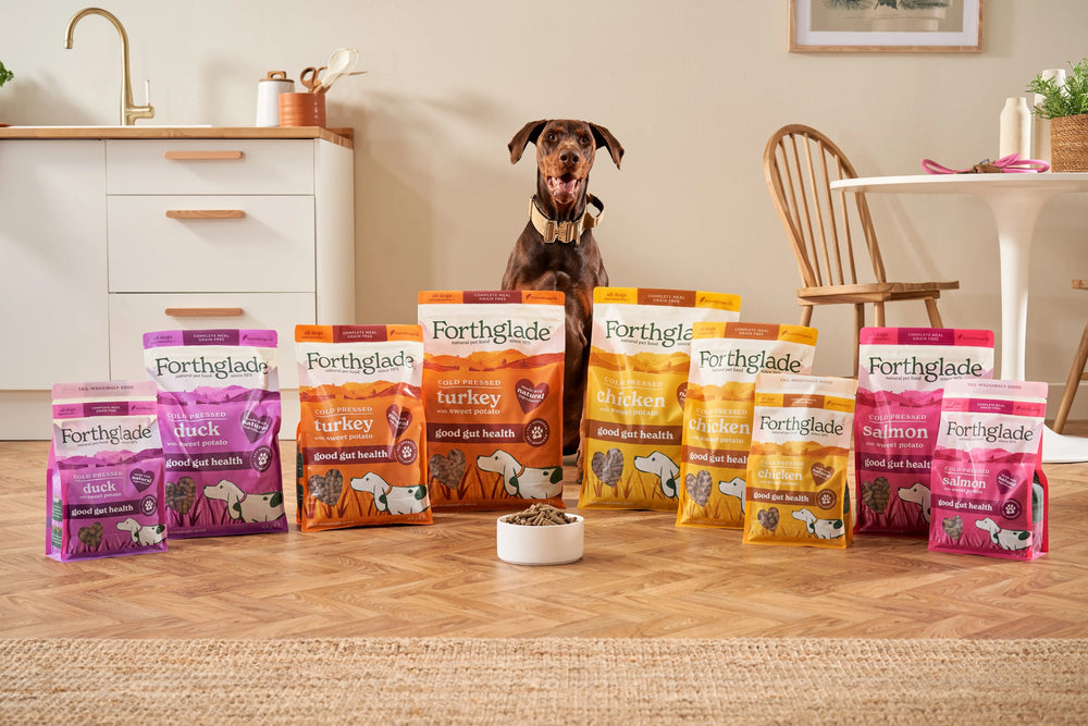 2kg 6kg 10kg CP Range Close Dog 1   Large f04717e2 8813 4117 8994 89b1eed5845e