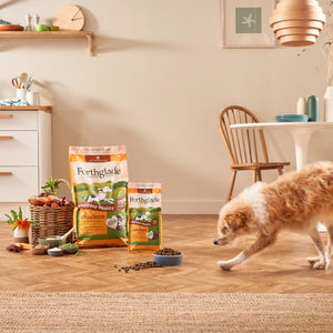 Chicken & Duck Wet Dog Food + Lightly Baked Chicken Bundle (1 x 6kg + 12 x 395g)