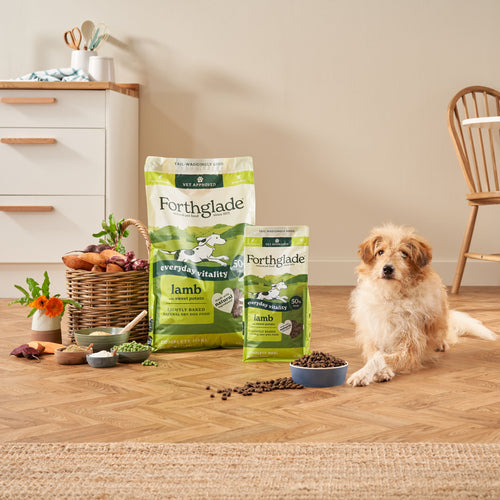 Lightly Baked Lamb Dry Dog Food